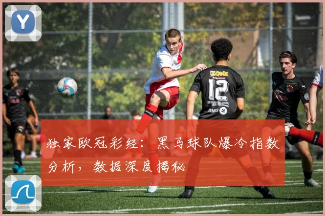 独家欧冠彩经：黑马球队爆冷指数分析，数据深度揭秘