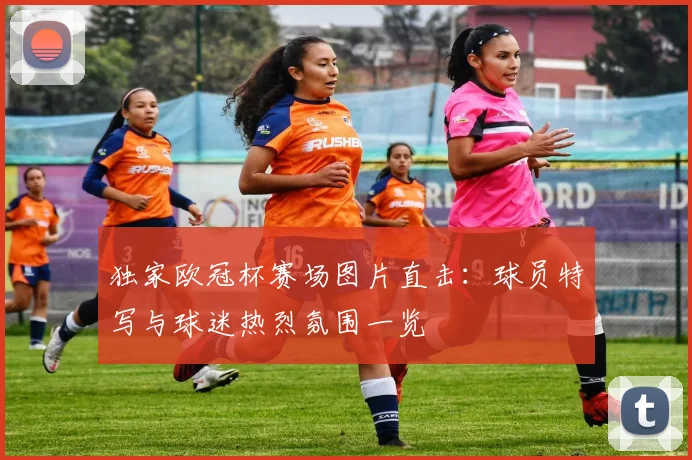 独家欧冠杯赛场图片直击：球员特写与球迷热烈氛围一览